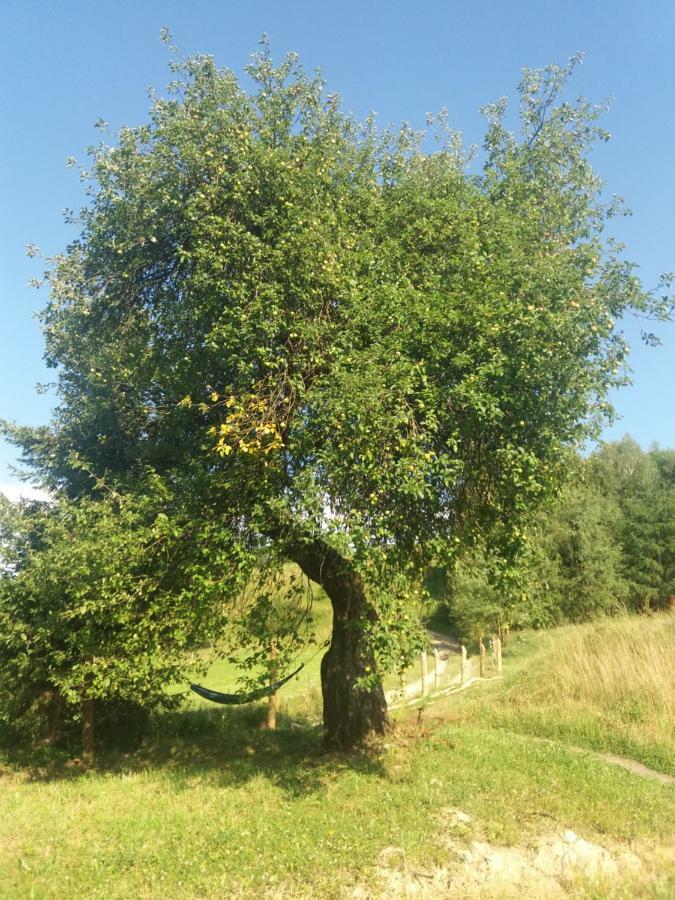 Bjorkowo Villa Polańczyk Esterno foto