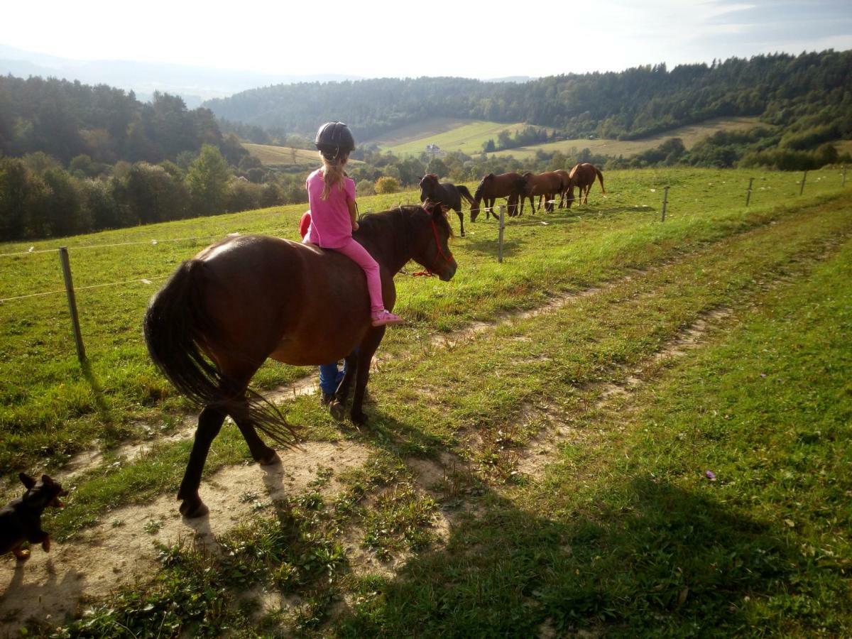 Bjorkowo Villa Polańczyk Esterno foto